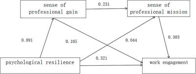 Analysis of the chain-mediated effects of nurses’ sense of professional gain and sense of professional mission between psychological resilience and work engagement in 10 general hospitals in Sichuan province